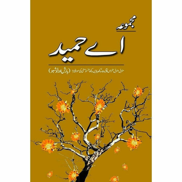 Majmua A Hameed: Manzil Manzil