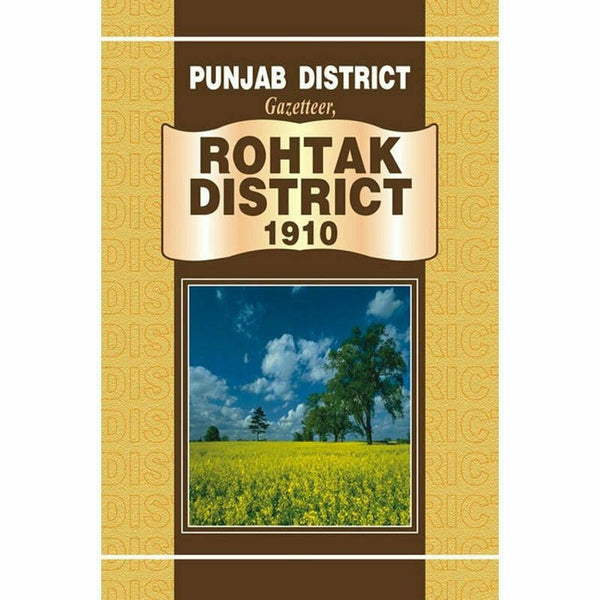 Punjab District Gazetteer, Rohtak District 1910