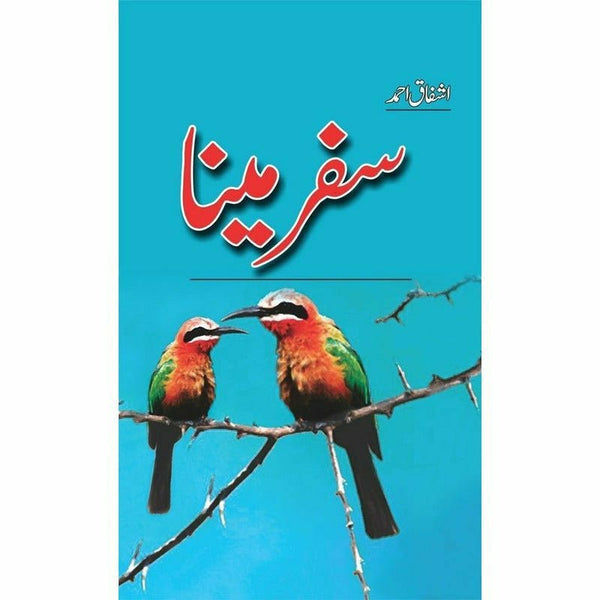 Safar-e-Maina - Ashfaq Ahmad